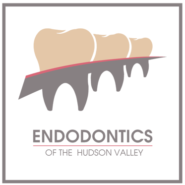 Endodontics of the Hudon Valley